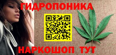 амф Ефремов
